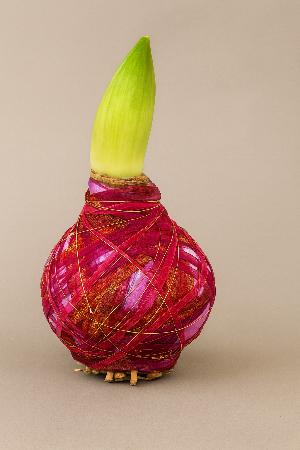 Luxe omwikkelde amaryllisbol