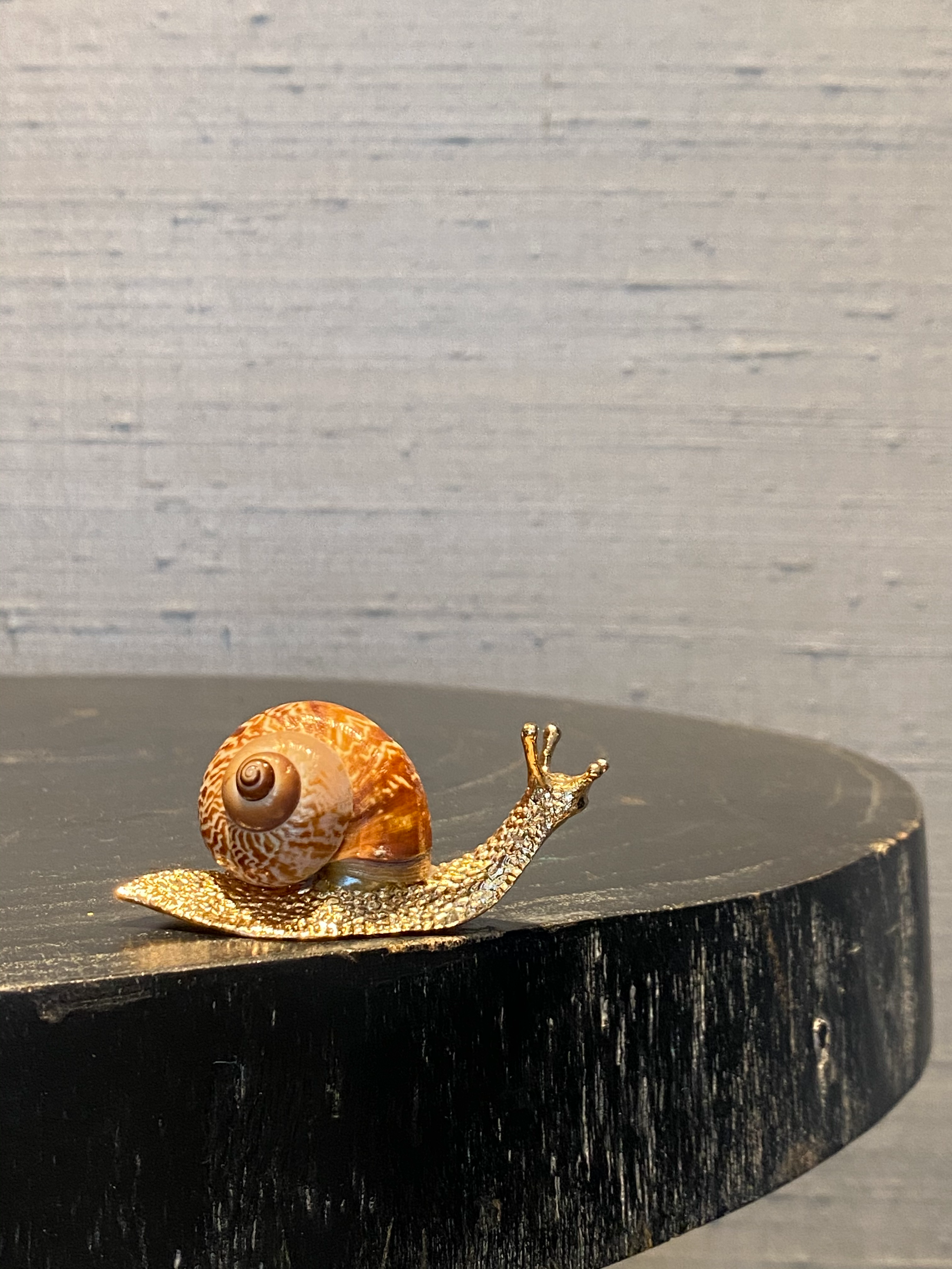Slakje / Snail - Decoratie / Decoration / Gifts