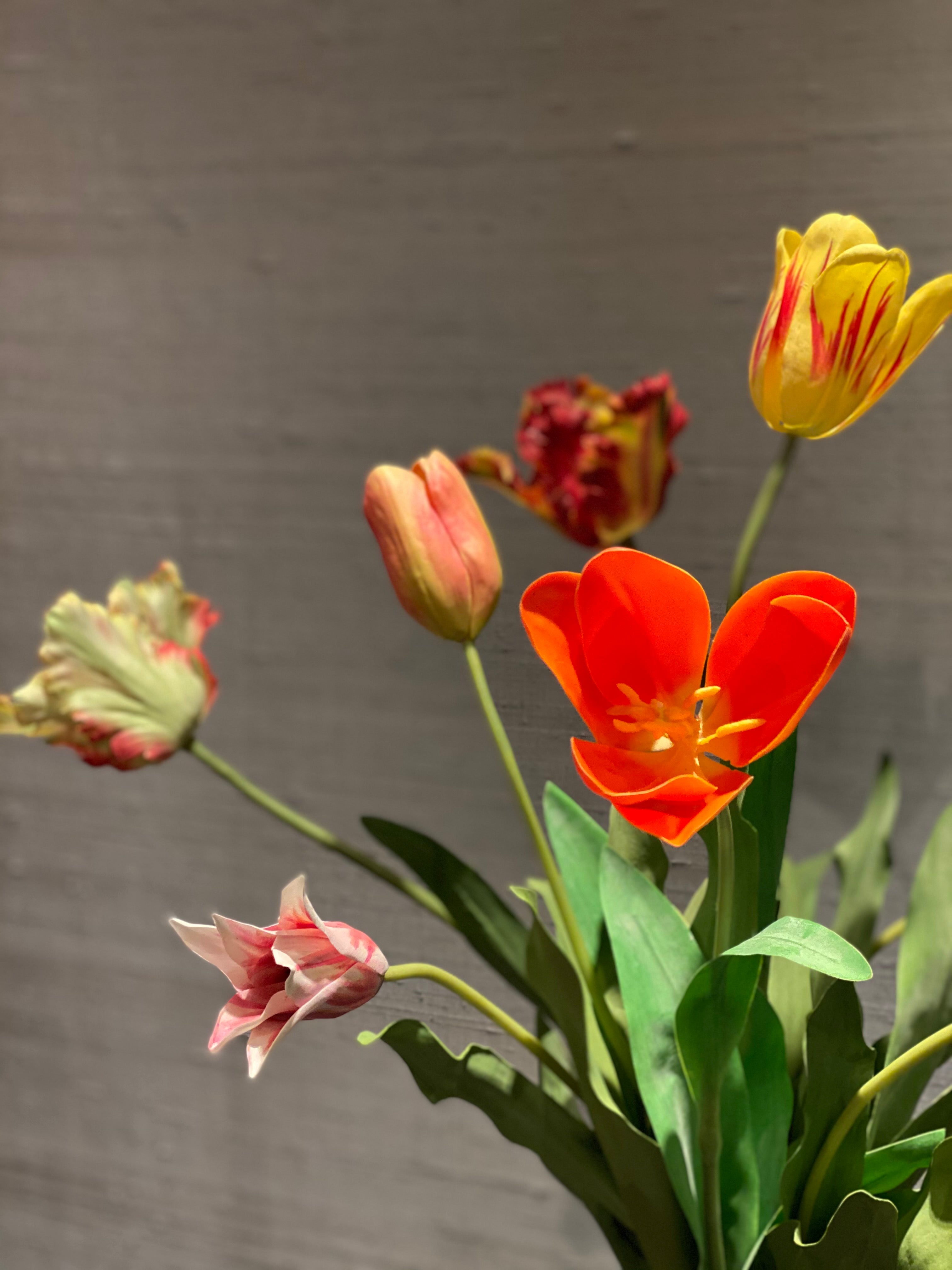 Tulp Oranje / Tulip Orange - Kunst / Artificial