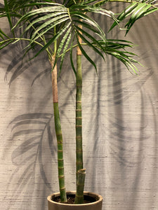 Palm - Kunst / Artificial